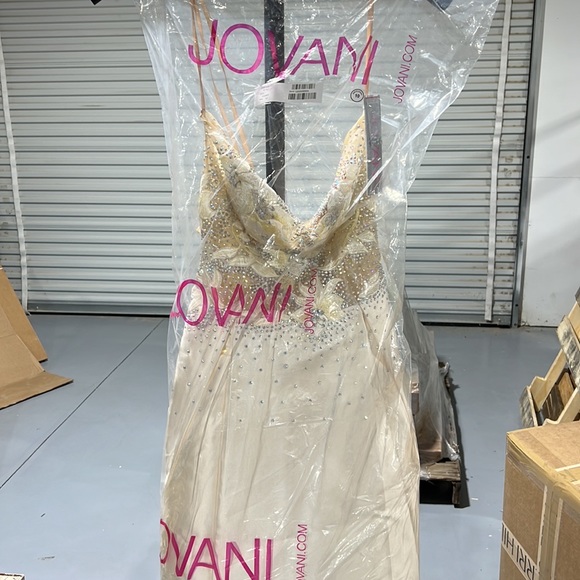 Gorgeous Jovani prom/ evening dress. Color is Ivory. Size 10. - Picture 4 of 6